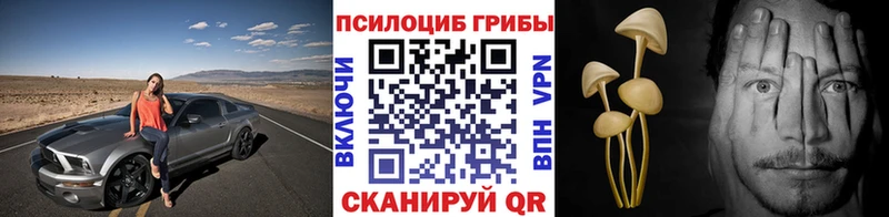Галлюциногенные грибы Psilocybe  МЕГА сайт  Галич 
